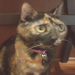 Meet your Posher, Julia